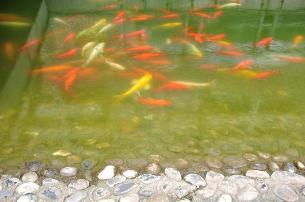 Noahs Hotel Suzhou Suzhou  Kamer foto